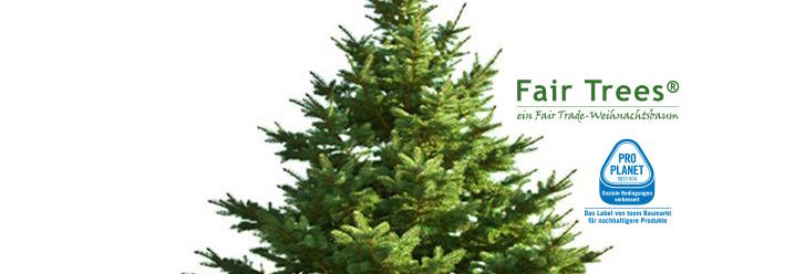 Fair Tree XXL Weihnachtsbaum toom
